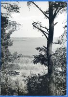  Löwentinsee, Blick Richtung Lötzen Masurische Seen