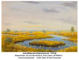 Wiepenheide, Ort und Oberförsterei, Kreis Labiau 