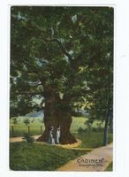 Cadinen, Kreis Elbing 