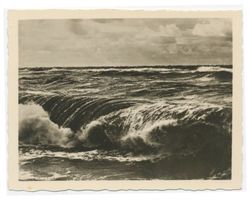  Kurische Nehrung, Die Ostsee 
