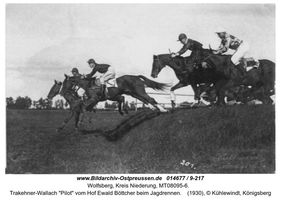 Wolfsberg (Ostpr.), Kreis Elchniederung 