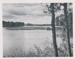  Johannisburger Heide, unbekannter See ??? 