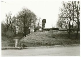 Seehesten, Kreis Sensburg Seehesten, Ordensschloss, Ruine I 