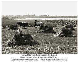 Deutsch Eylau, Kreis Rosenberg  Landwirtschaft in Ostpreußen