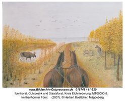 Ibenhorst, Gutsbezirk und Staatsforst, Kreis Elchniederung 