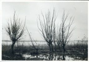 Nautzwinkel, Kreis Samland Nautzwinkel, Landschaftsbild Frische Nehrung - Frisches Haff