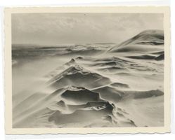  Kurische Nehrung, Wanderdüne bei Sturm ins Haff wandernd Kurische Nehrung, Dünen