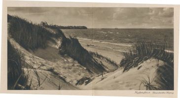 Neukuhren, Kreis Samland Neukuhren, Strand, Dünen 