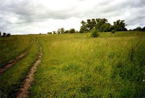 Lehntal, Kreis Angerapp Lehntal (Холмы), Linksseitige ehemalige Hofausfahrt zu den Feldern 