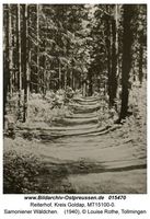 Reiterhof, Kreis Goldap 