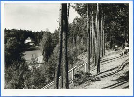 Passenheim, Stadt, Kreis Ortelsburg Passenheim, Blick auf das Städtische Waldheim  am Großen Kalbensee II 