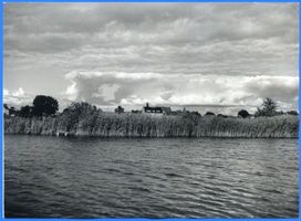 Eckertsdorf, Kreis Sensburg Eckertsdorf, Blick auf Eckertsdorf 