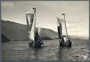  Kurische Nehrung, Kurenkähne auf dem Haff vor den Wanderdünen II Kurische Nehrung, Fischerei