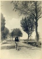 Güldenboden Kr. Elbing, Kreis Elbing Güldenboden Kr. Elbing, Chaussee von Pr. Holland nach Elbing 