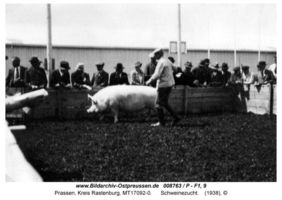 Prassen Kr. Rastenburg, Gut, Kreis Rastenburg 