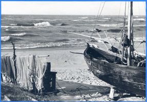  Kurische Nehrung, Sommer an der Ostsee Куршская коса, лето на Балтийском море