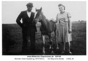 Skirwiet, Kreis Heydekrug 