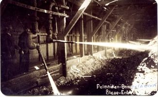 Palmnicken, Kreis Samland 