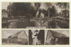 Thalheim, Kreis Neidenburg Thalheim, Schule, Kirche, Gasthaus, Dorfansicht 