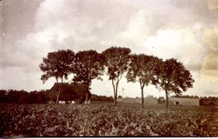 Waldau Kr. Samland, Ort, Kreis Samland 