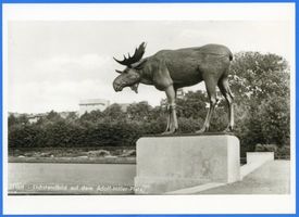 Tilsit, Stadt, Stadtkreis Tilsit Adolf-Hitler-Straße (fr. Am Anger) Tilsit, Das Elchdenkmal auf dem Anger XV Тильзит, памятник лосю на Ангере, XV