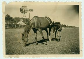 Mulden Kr. Gerdauen, Kreis Gerdauen 