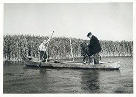  Memelniederung, Fischer beim Einholen der Reuse Мемельская низменность, рыбак, вынимающий вершу