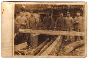 Narzym, Kreis Neidenburg 