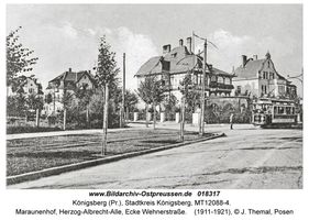 Königsberg (Pr.), Stadtkreis Königsberg Herzog-Albrecht-Allee