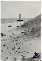  Kurisches Haff, Spuren im Dünensand Kurisches Haff
