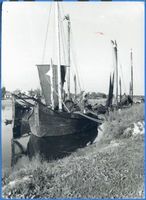 Elchwerder Kr. Labiau, Ort, Kreis Labiau Elchwerder, Kurenkähne am Nemonienstrom II Эльхвердер, куршские лодки на Немониене, II