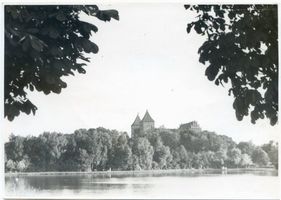 Neidenburg, Stadt, Kreis Neidenburg Neidenburg, Schloß und Schloßteich VI Neidenburg, Schloß
