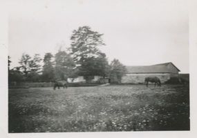 Burgfelde, Kreis Goldap 