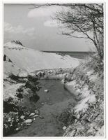 Sassau, Kreis Samland Sassau, Bach bei Sassau 