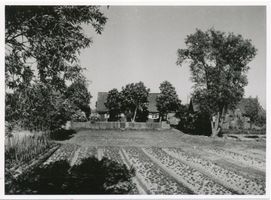  Großes Moosbruch, Bauernhof mit Garten Большое Мосбрух, ферма с садом