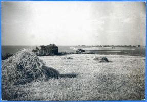 Kahlholz, Kreis Heiligenbeil Kahlholz, Landschaft bei Kahlholz Frische Nehrung - Frisches Haff