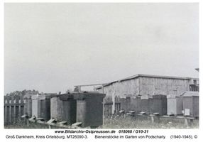 Groß Dankheim, Kreis Ortelsburg 