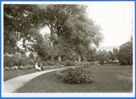 Gumbinnen, Stadt, Kreis Gumbinnen Gumbinnen, Parkanlage  Zigeunerberg  