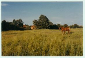 Schönlinde Kr. Gerdauen, Kreis Gerdauen 