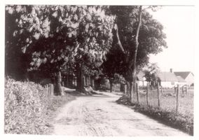 Kraam, Kreis Samland Kraam, Straße zum Dorf Краам, дорога к деревне