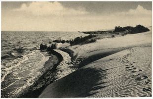  Frische Nehrung, Dünen 