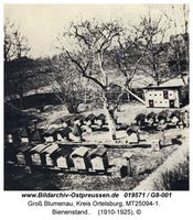 Groß Blumenau Kr. Ortelsburg, Kreis Ortelsburg  