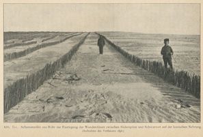  Kurische Nehrung, Schutzstreifen aus Rohr zur Festlegung der Wanderdünen zwischen Süderspitze und Schwarzort Куршская коса, защитная полоса из тростника для закрепления бродячих дюн между Зюдершпицце и Шварцортом