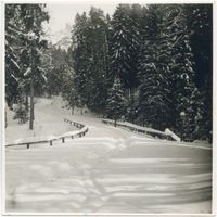  Rominter Heide, Winterbild, Straße nach Groß Rominten 