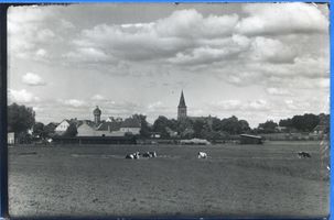 Hohenstein Kr. Osterode, Stadt, Kreis Osterode Hohenstein, Ortsansicht V 