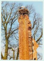 Groß Friedrichsdorf, Kreis Elchniederung 