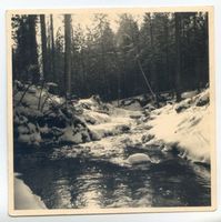  Rominter Heide, Heidegraben 