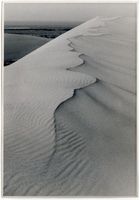  Kurische Nehrung, Hohe Düne bei Nidden mit Haff II Куршская коса, Высокая дюна у Ниддена с заливом, II
