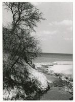 Sassau, Kreis Samland Sassau, Strand mit Sassauer Beck 
