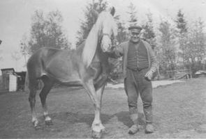 Raging, Kreis Elchniederung 